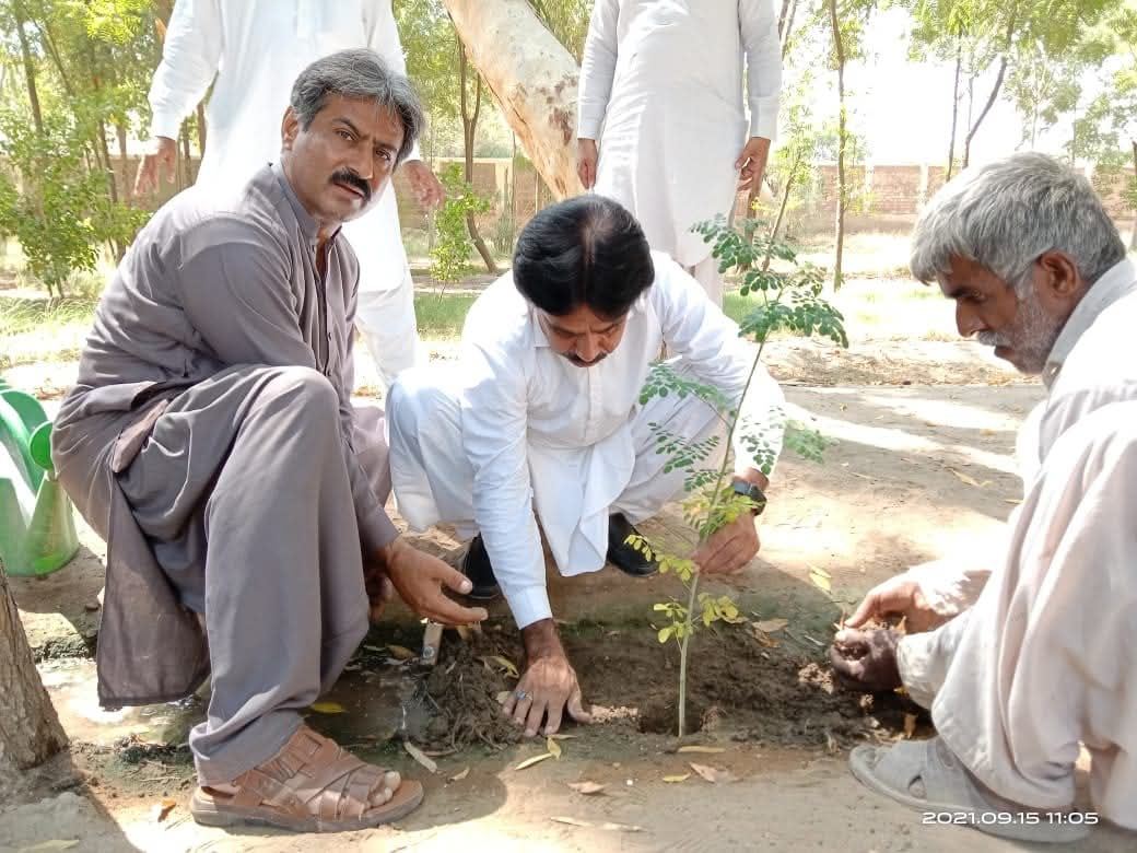 ZDO team planting trees for a greener Dadu