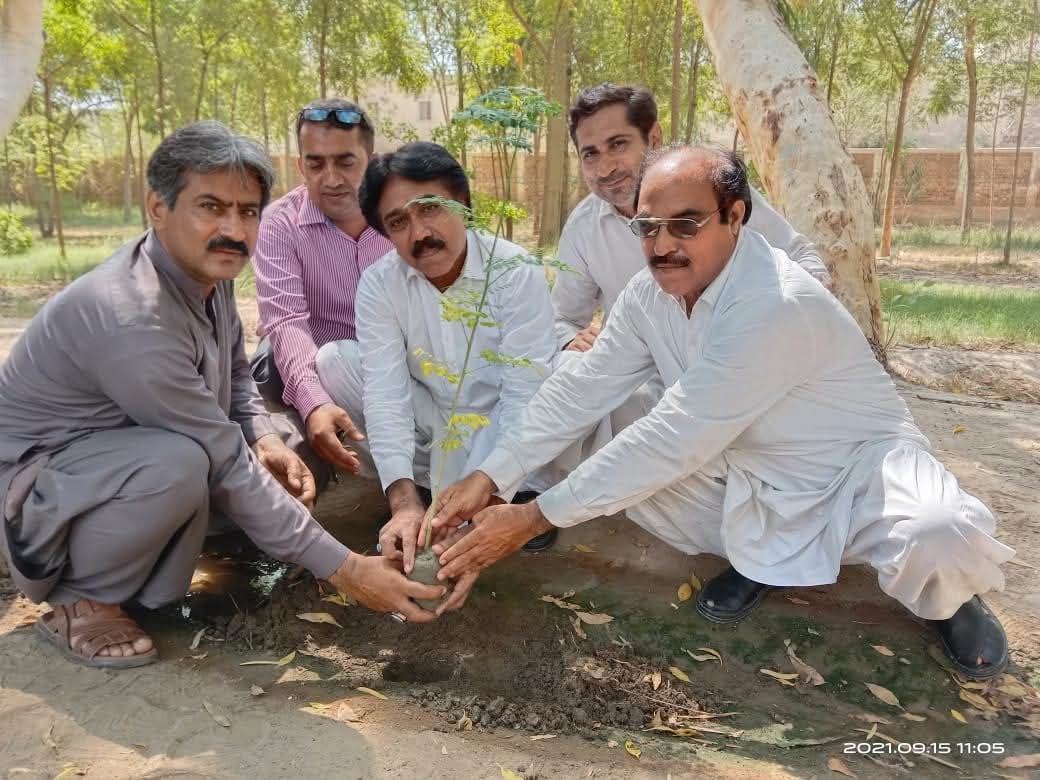 Community tree plantation drive
